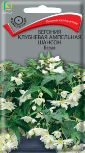 Бегония клубневая ампельная Шансон Белая купить