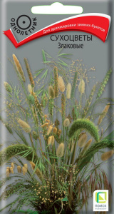 Сухоцветы Злаковые купить