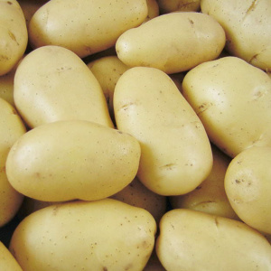 Картофель семенной Невский (элита) 2кг купить