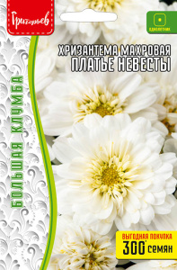 Хризантема Платье Невесты махровая купить