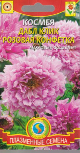 Космея Дабл Клик Розовая конфетка  купить