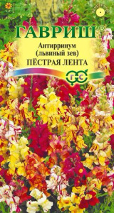 Львиный зев Пестрая лента  купить