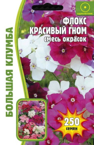 Флокс Красивый гном смесь  купить