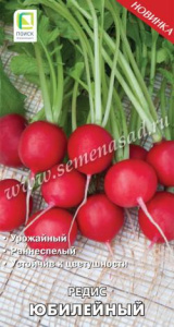 Редис Юбилейный купить