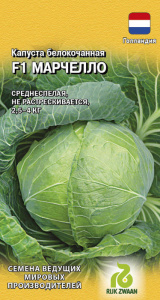 Капуста Марчелло купить