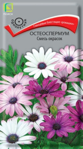 Остеоспермум, смесь  купить