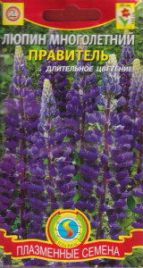 Люпин Правитель многолетний  купить