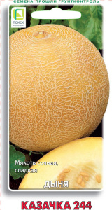 Дыня Казачка 244 купить