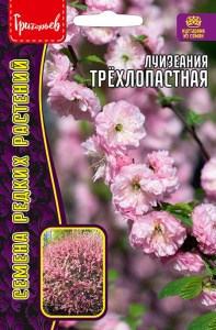 Луизиания Трёхлопастная (Миндаль) купить