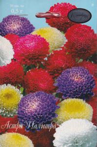 Астра смесь Помпонная (Палитра)/1шт купить