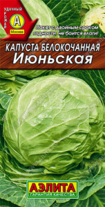Капуста Июньская  купить