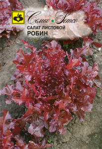 Салат Робин листовой купить