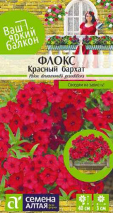 Флокс Красный Барахат друммонда купить