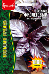 Базилик Фиолетовый купить