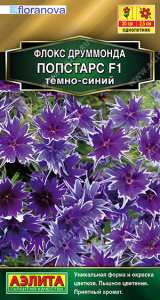 Флокс Попстарс F1 темно-синий купить