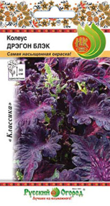 Колеус дрэгон Блек купить