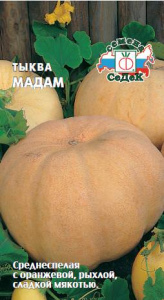 Тыква Мадам 2г купить