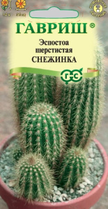 Эспостоа удивительная Снежинк купить