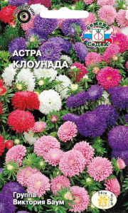 Астра Клоунада купить