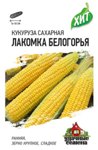 Кукуруза Лакомка Белогорья сахарная купить