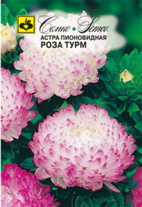 Астра Роза Турм пионовидная купить