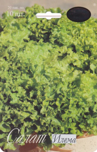 Салат Илема листовой (Нидерланды) /1шт купить