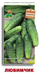 Огурец Любимчик купить