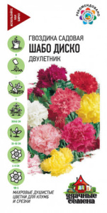 Гвоздика Шабо Диско, смесь Уд. с. купить