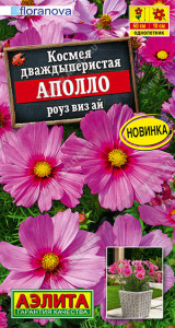 Космея Аполло роуз виз ай Floranova купить