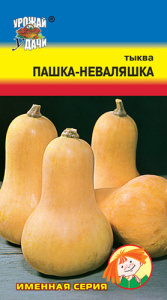 Тыква Пашка-Неваляшка  купить