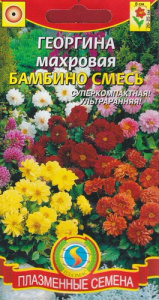 Георгина Бамбино махровая смесь  купить