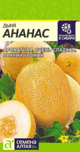 Дыня Ананас  купить
