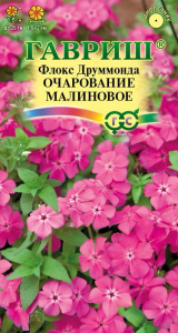 Флокс Очарование малиновое Друммонда купить