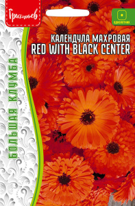 Календула Red With Black Center купить