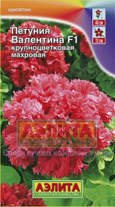 Петуния Валентина F1 крупноцветковая купить