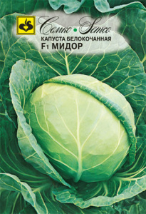 Капуста Мидор F1 купить