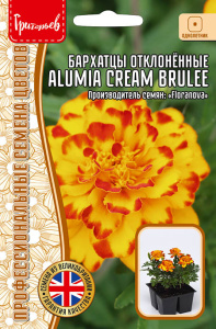 Бархатцы Алюмия Крем Брюле купить