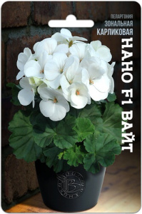 Пеларгония зональная карликовая Нано F1 Вайт купить