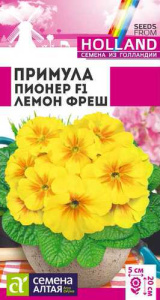 Примула Пионер Лемон фреш двулетник  купить