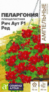 Пеларгония плющелистная ампельная Рич Аут F1 Ред купить