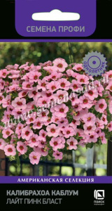 Калибрахоа Каблум Лайт Пинк Бласт  купить