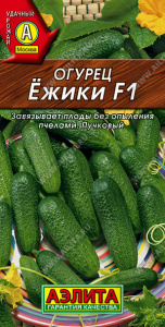 Огурец Ежики F1 купить