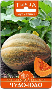 Тыква Чудо-Юдо  купить