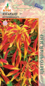Амарант Иллюминация трехцветный купить