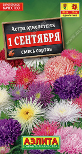 Астра 1 сентября, смесь купить