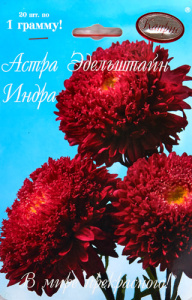 Астра Эдельштайн Индра/1шт купить