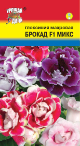 Глоксиния Брокада  Смесь F1 махровая купить