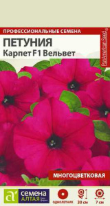 Петуния Карпет F1 Вельвет  купить