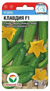 Огурец Клавдия  купить