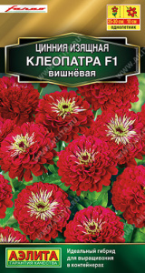 Цинния Клеопатра F1 вишневая  купить